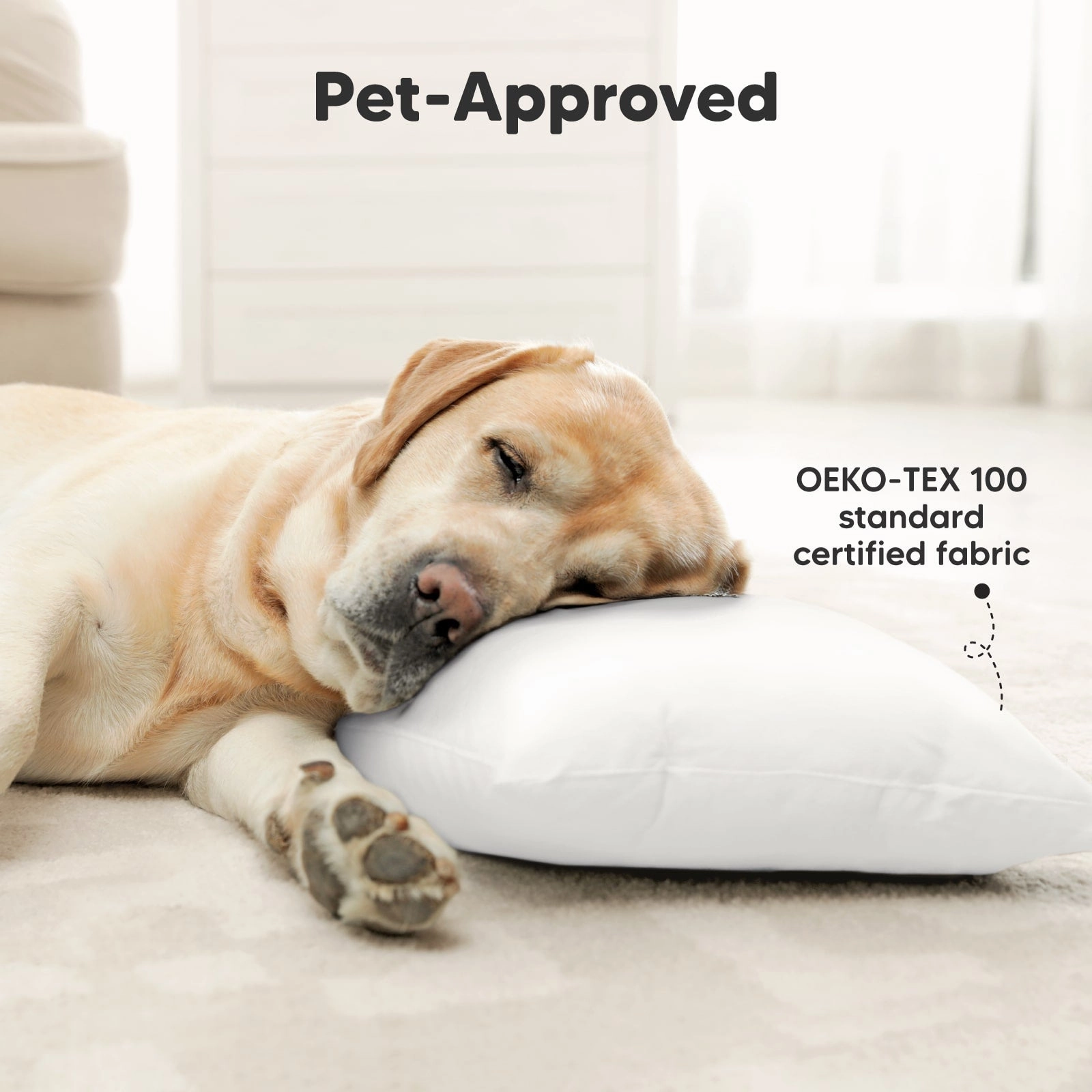 2-Pack Toddler Pillows (City Cars)