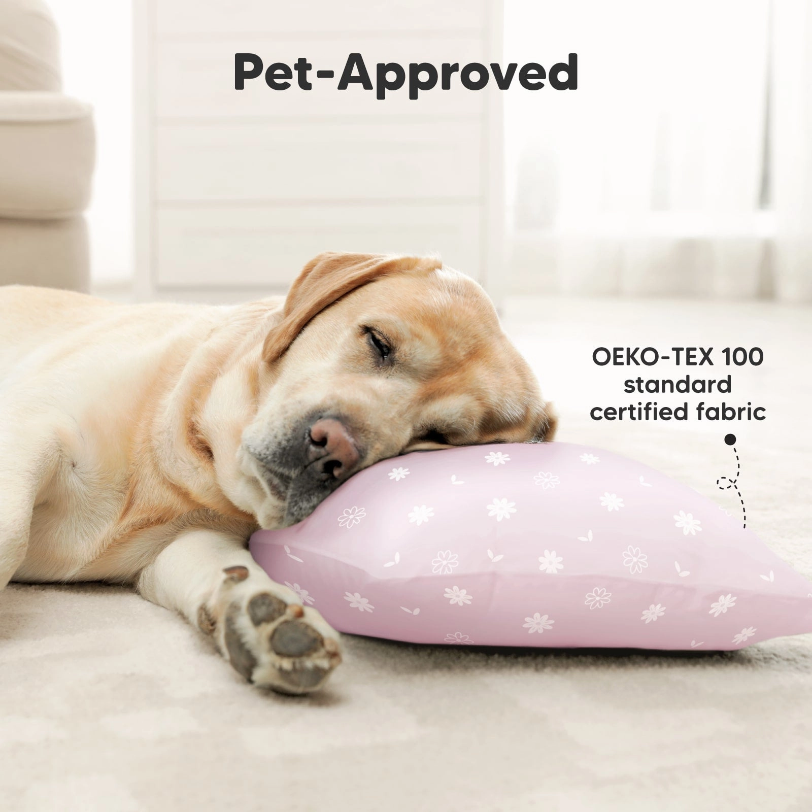 2-Pack Toddler Pillows (Daisy)