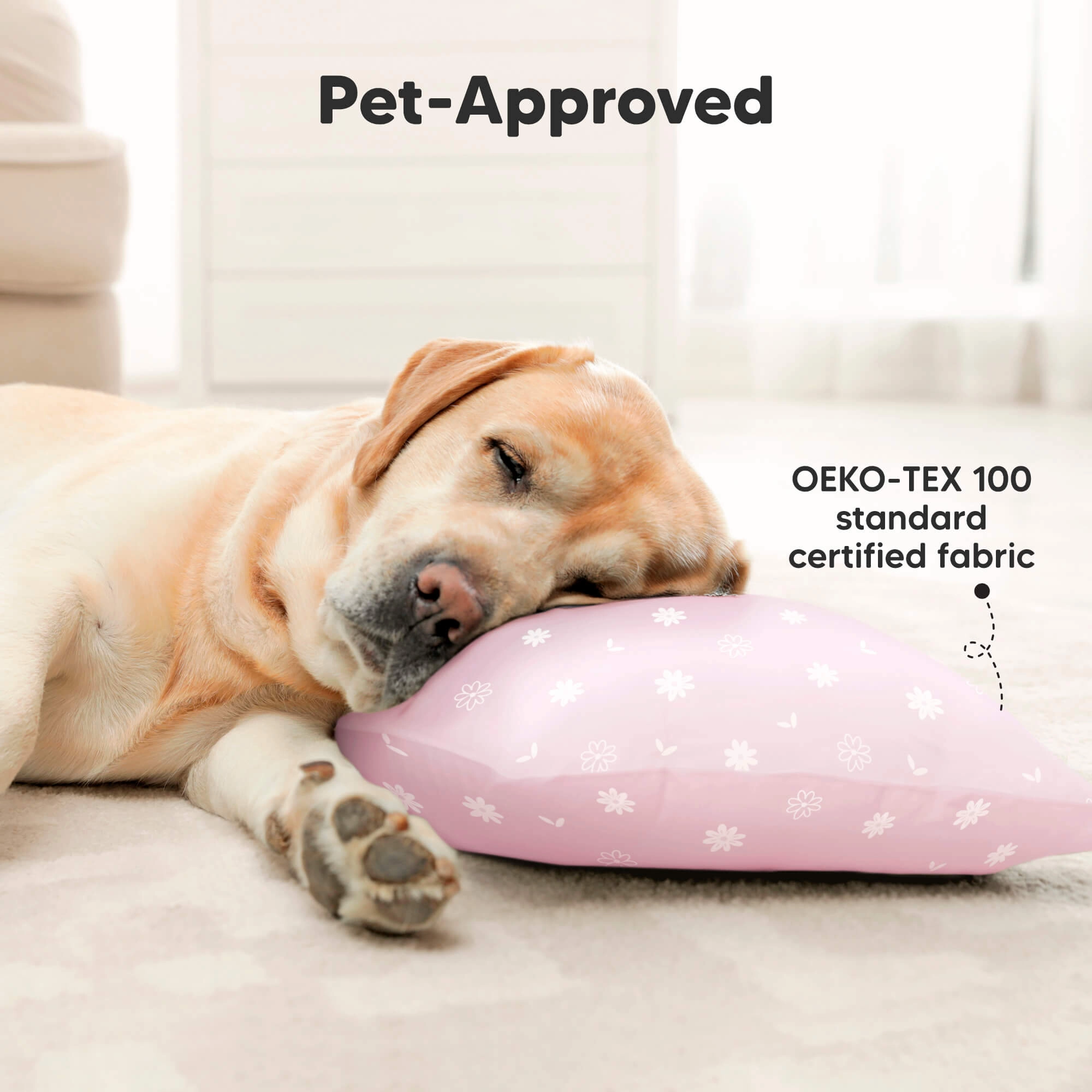 2-Pack Toddler Pillows (Hearts)