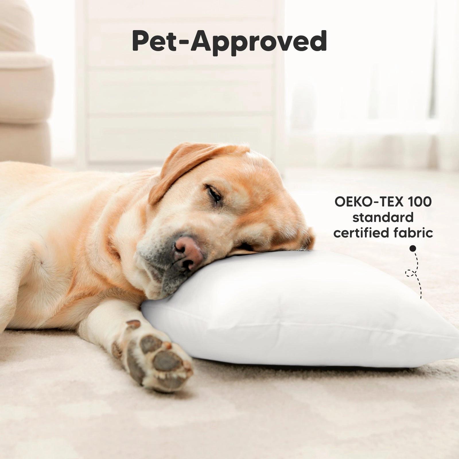2-Pack Toddler Pillows (Planes)