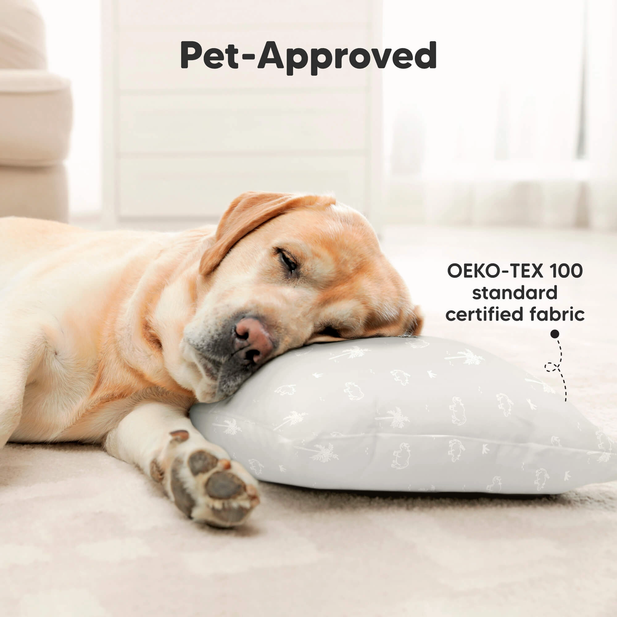 2-Pack Toddler Pillows (Sports)