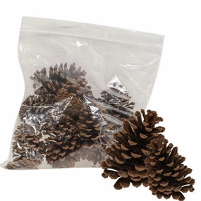 *10/Bag Natural Ponderosa Pine Cones