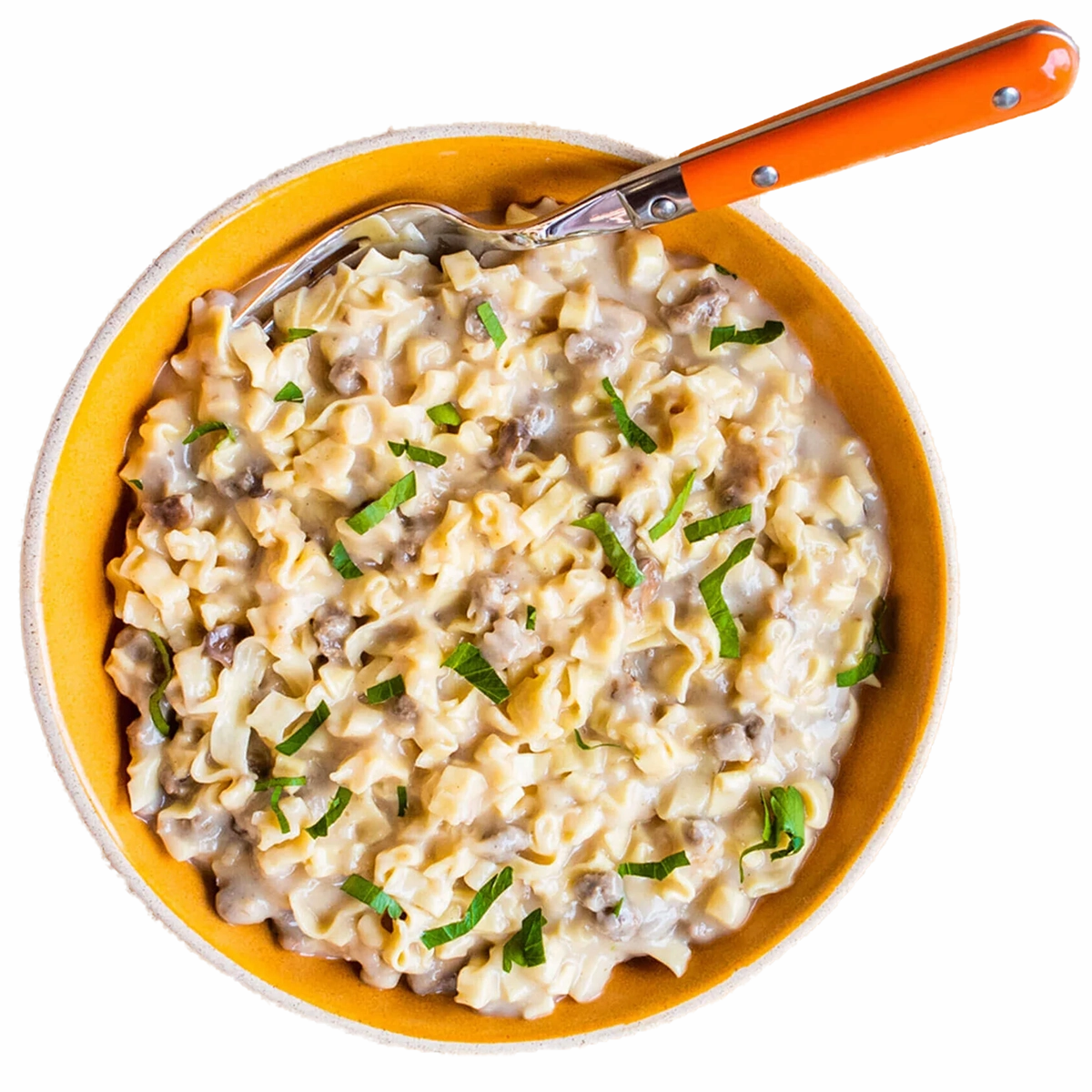 Beef Stroganoff with Noodles