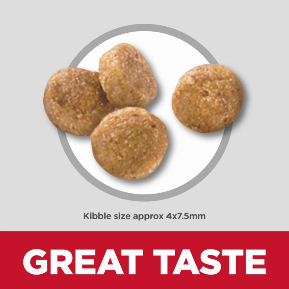 Hill's Science Diet Adult 7  Senior Vitality Small & Mini Chicken & Rice Recipe Dry Dog Food