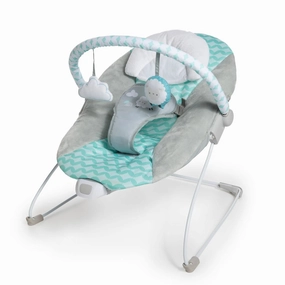 Ingenuity Bouncity Bounce Vibrating Deluxe Baby Bouncer Seat (Goji)
