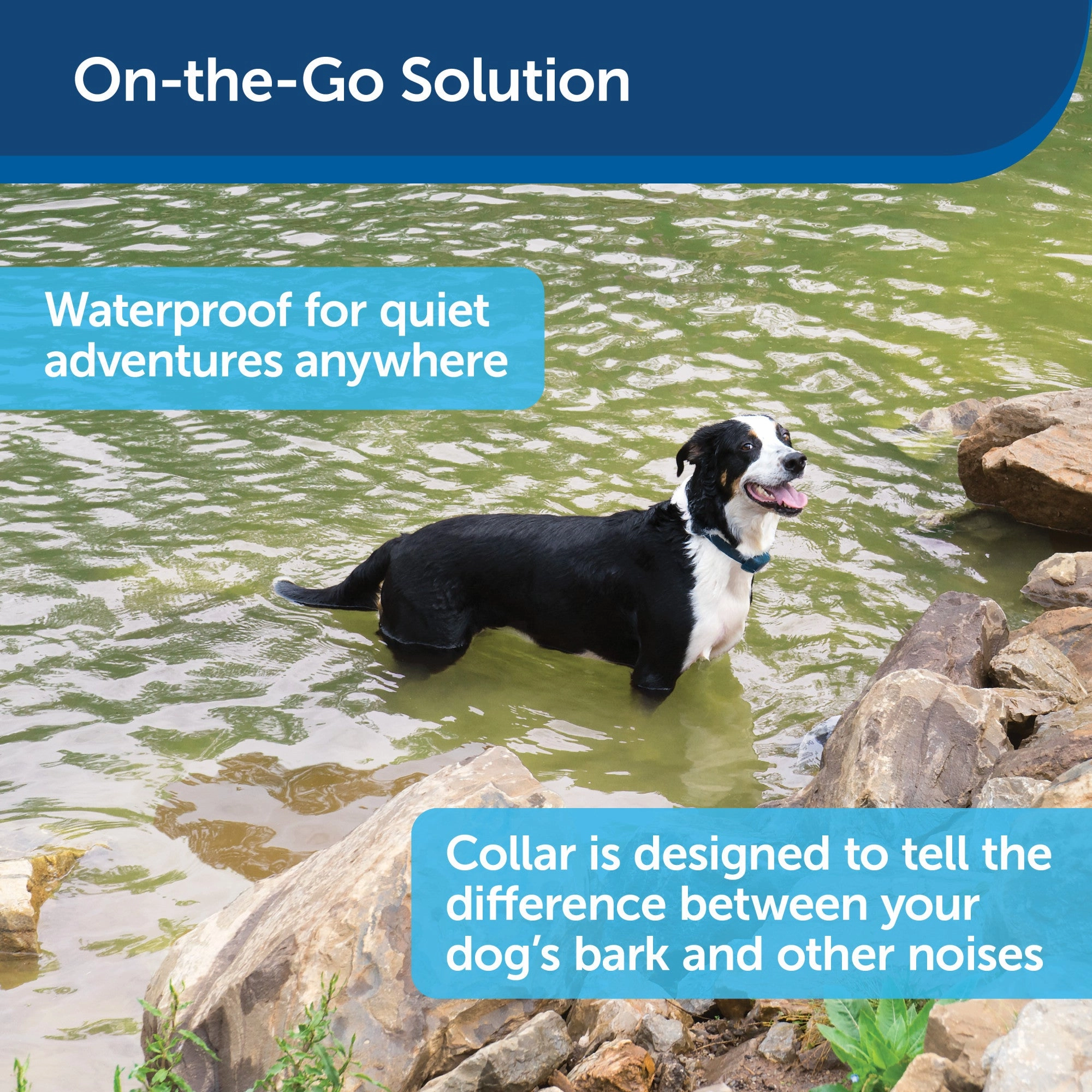 PetSafe Rechargeable Bark Collar, 15 Levels of Automatically Adjusting Static Correction - Rechargeable, Waterproof - Reduces Barking and Whining - for Medium and Large Dogs