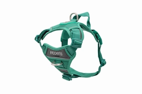 RC Pets Momentum Control Harness for Dogs in Parakeet