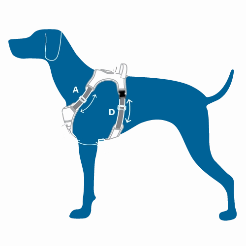 RC Pets Momentum Control Harness for Dogs in Parakeet