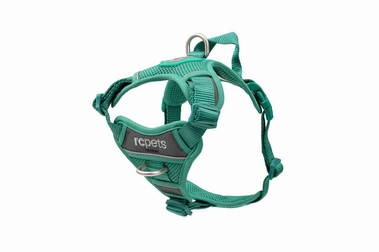 RC Pets Momentum Control Harness for Dogs in Parakeet