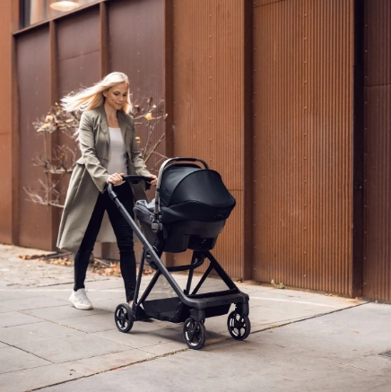 Thule Shine